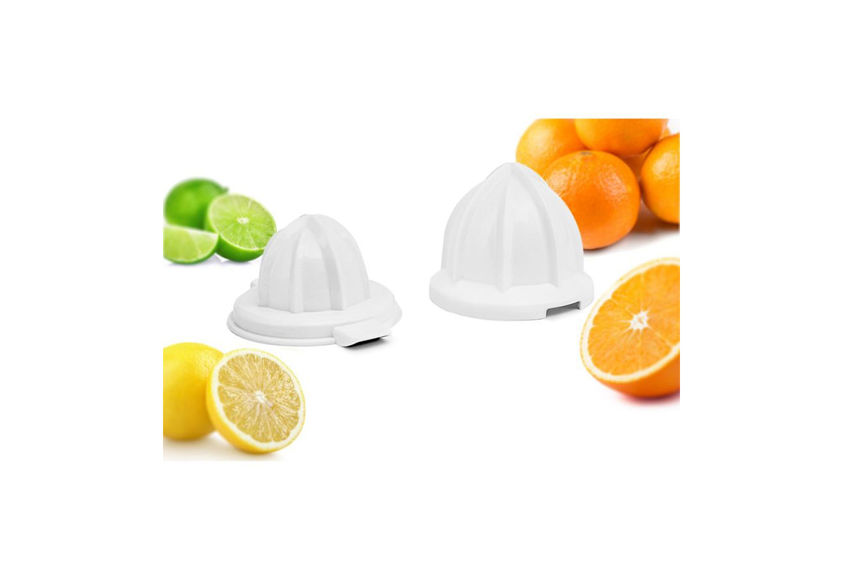 Απεικονίζονται οι κώνοι στυψίματος 